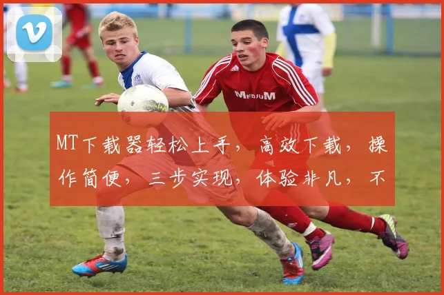 MT下载器轻松上手，高效下载，操作简便，三步实现，体验非凡，不容错过