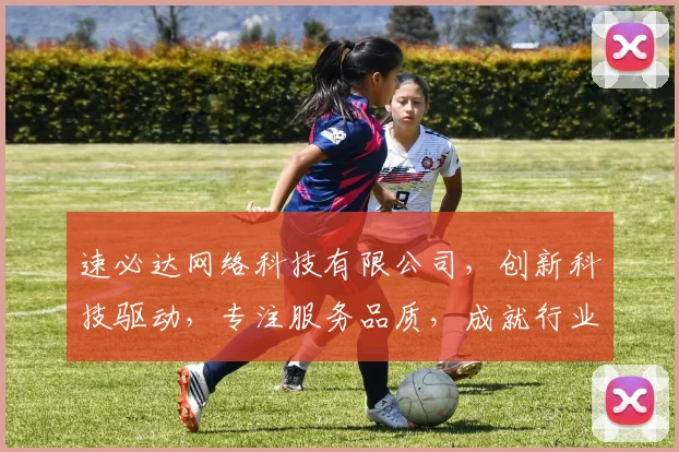 速必达网络科技有限公司，创新科技驱动，专注服务品质，成就行业标杆，引领未来潮流。