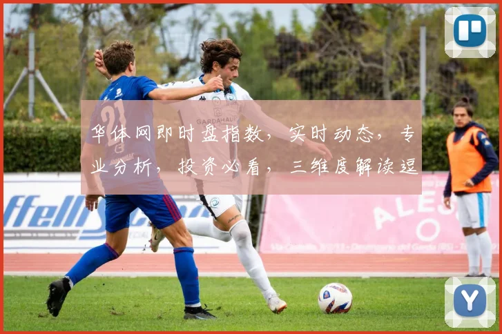 华体网即时盘指数，实时动态，专业分析，投资必看，三维度解读逗逗逗