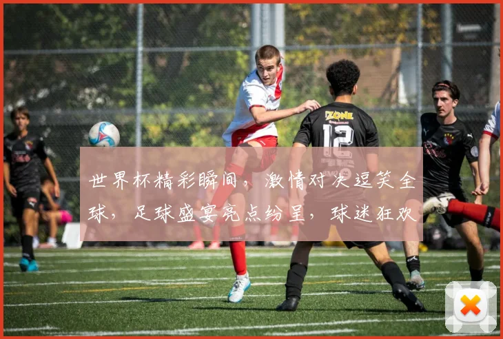 世界杯精彩瞬间，激情对决逗笑全球，足球盛宴亮点纷呈，球迷狂欢不止