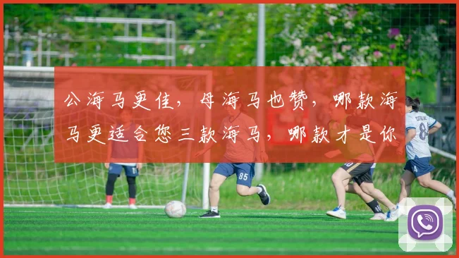 公海马更佳，母海马也赞，哪款海马更适合您三款海马，哪款才是你的心头好