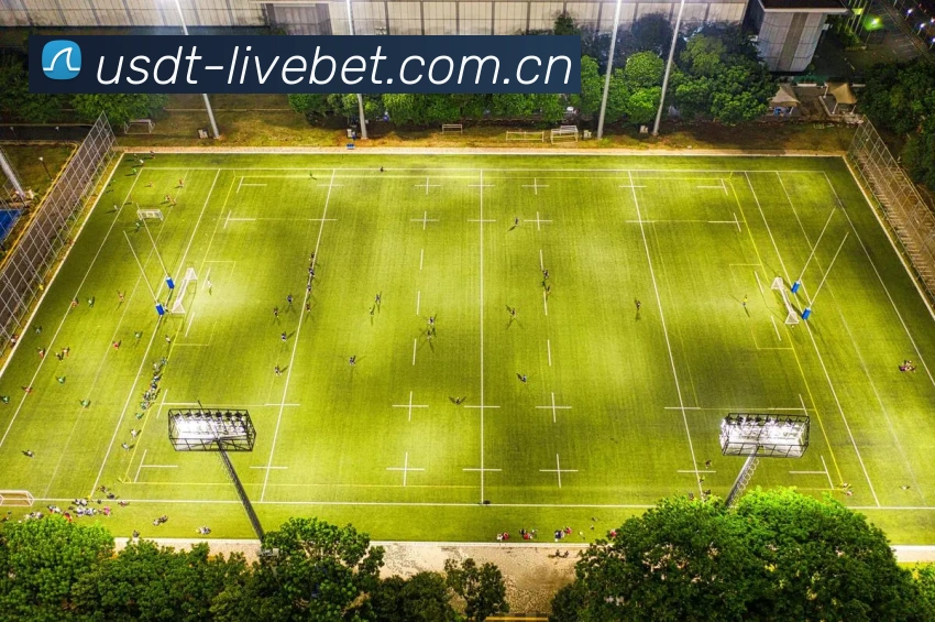 平台展示图